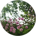 Divya Grover profile picture